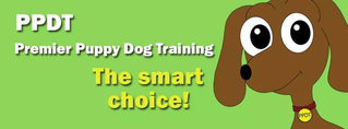 Premier Puppy and Dog Training Club