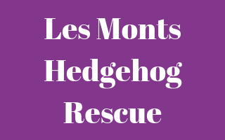 Les Monts Hedgehog Rescue