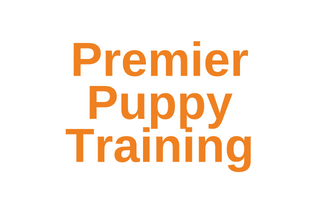 Premier Puppy and Dog Training